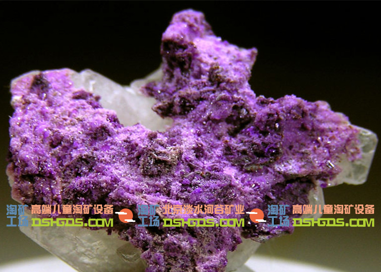 兒童淘礦工場科普欄之蘇鐵礦的基本介紹和各種特性