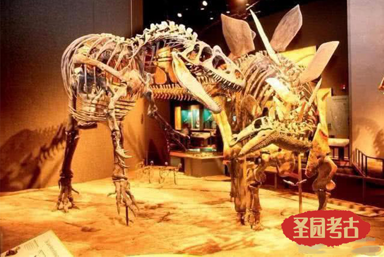 10種可能并且或許確實發(fā)生過的史前大戰(zhàn)（上）
