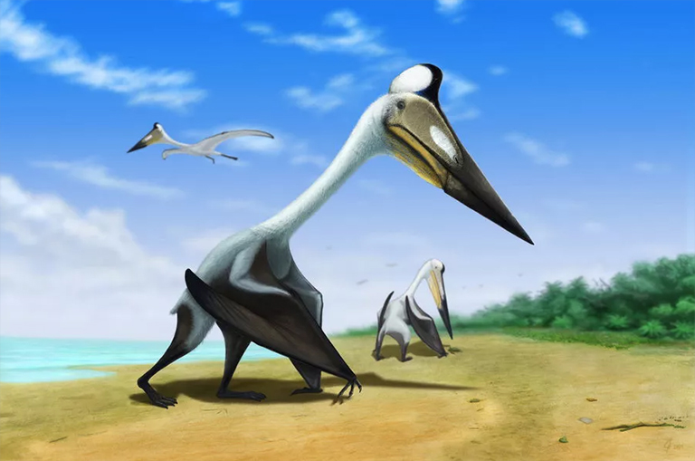 想看一些很酷的恐龍藝術(shù)嗎-世界上好的恐龍藝術(shù)家（上）