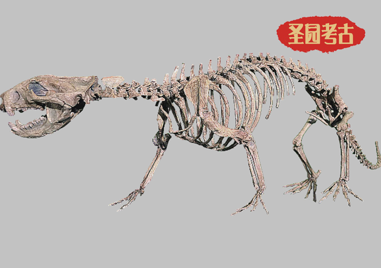 九種吃居然敢吃恐龍的動物（下）