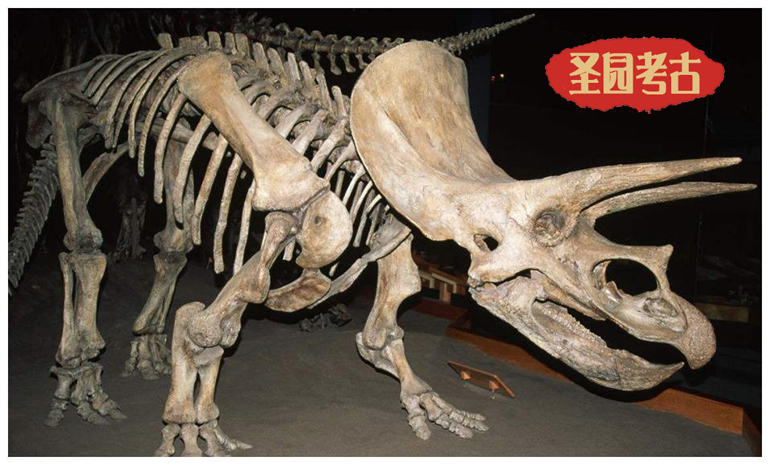 恐龍是食人族嗎？