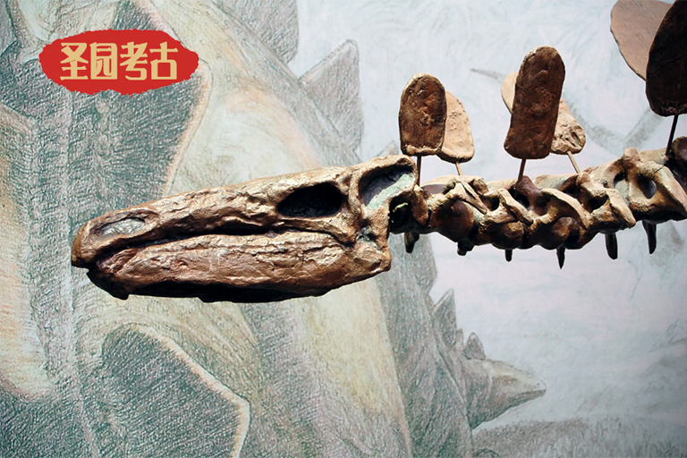 古生物學(xué)恐龍研究史上大的失誤（上）