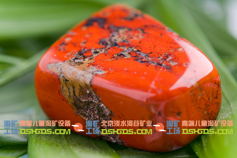 兒童淘礦科普