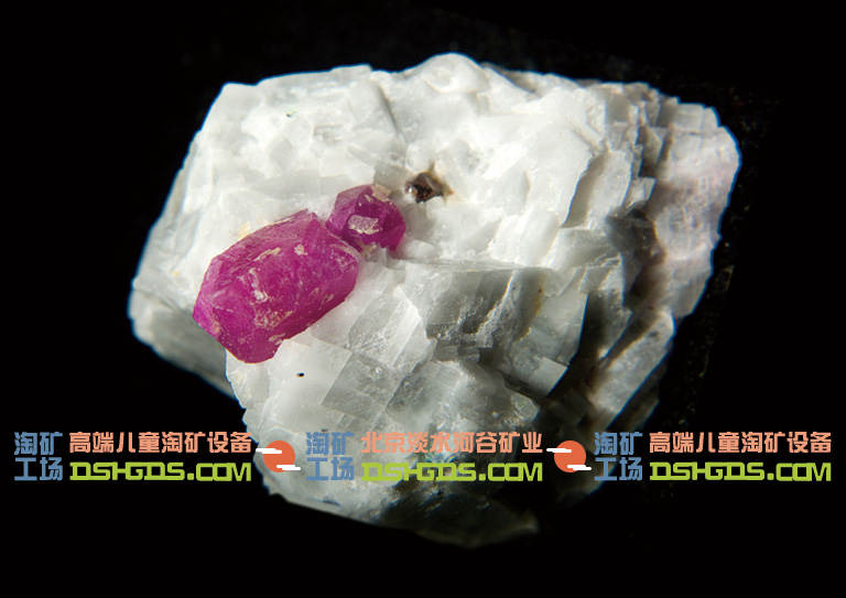 兒童淘礦科普