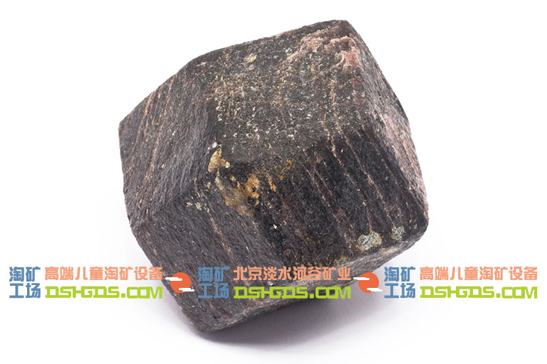 兒童淘礦科普