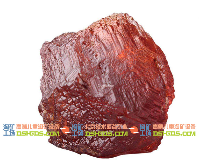 兒童淘礦科普