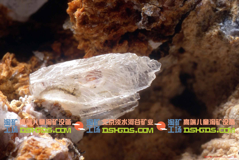 兒童淘礦科普