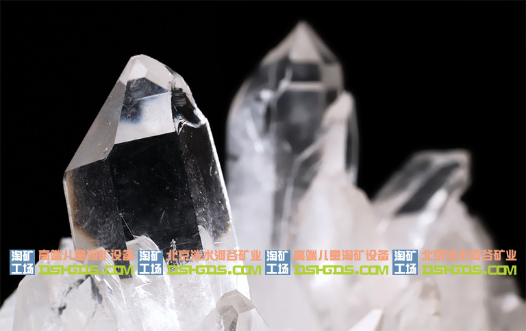 兒童淘礦科普