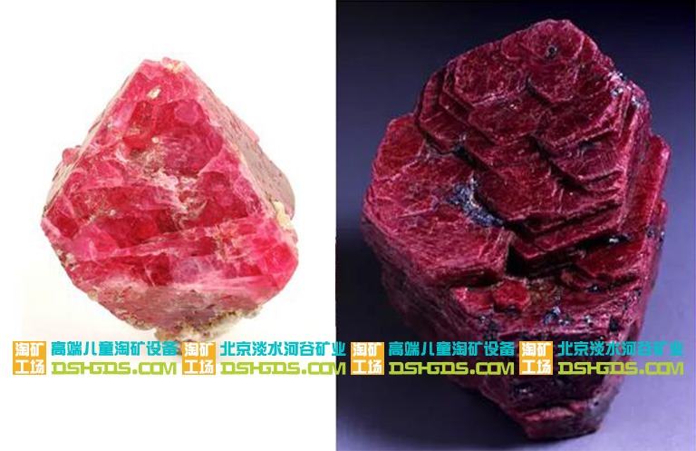 兒童淘礦科普
