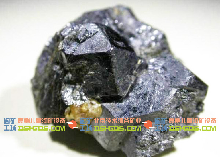 兒童淘礦科普