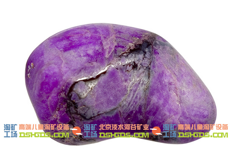 兒童淘礦科普