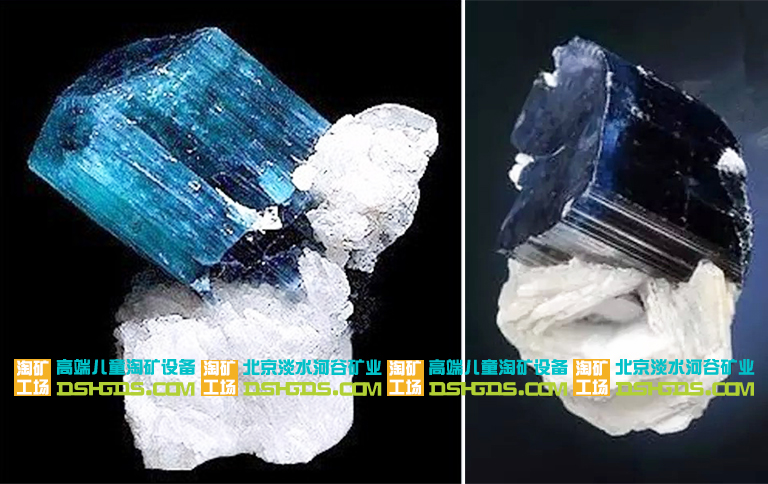 兒童淘礦科普