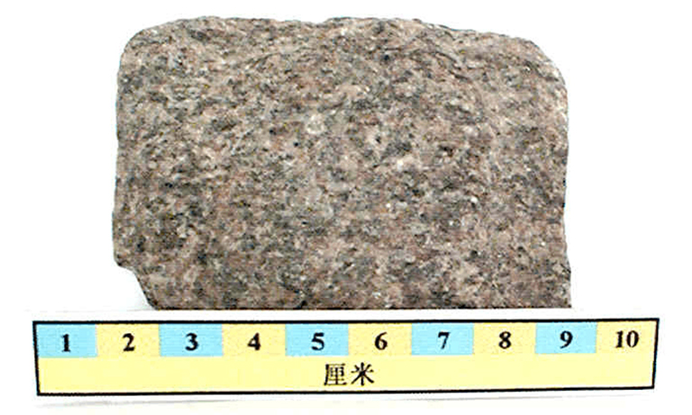 兒童淘礦科普