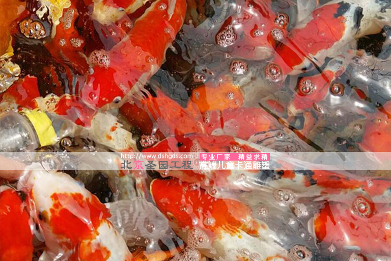 吃奶魚