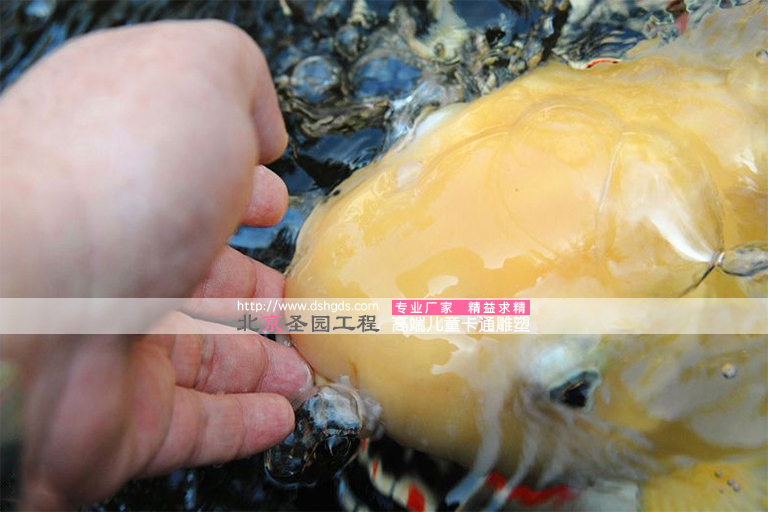 吃奶魚