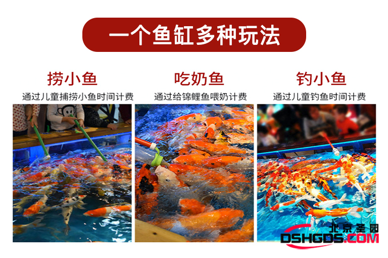 吃奶魚(yú)設(shè)備
