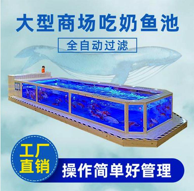 喂奶魚