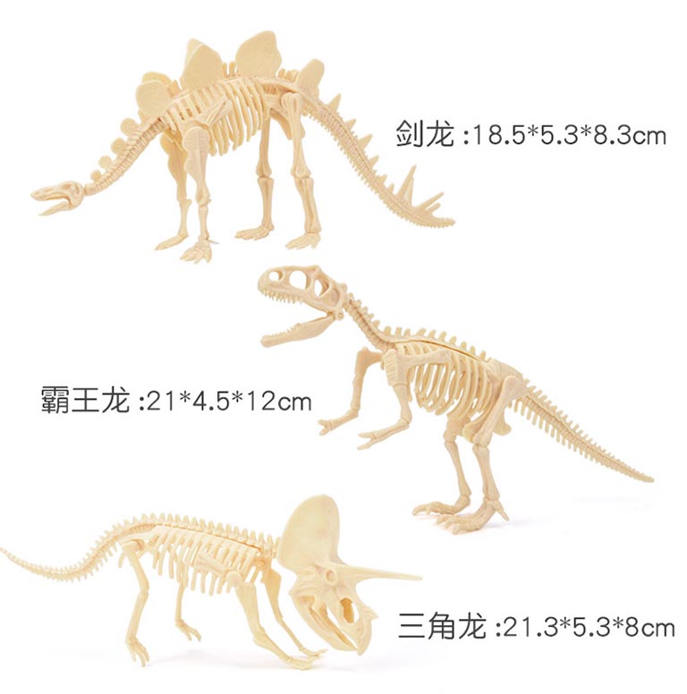 恐龍考古桌.jpg 恐龍考古桌