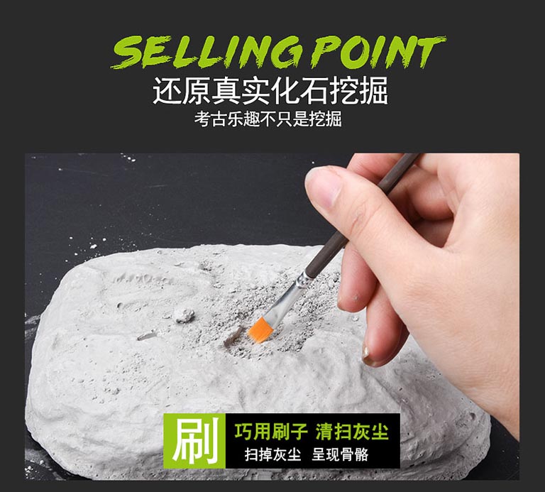 恐龍考古桌.jpg 恐龍考古桌