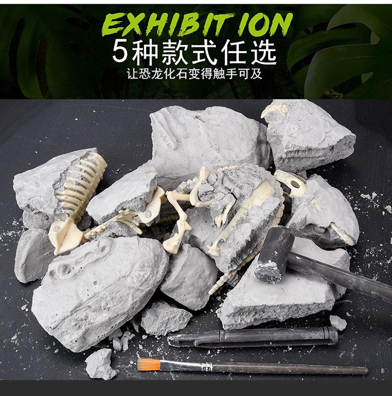 恐龍考古桌.jpg 恐龍考古桌