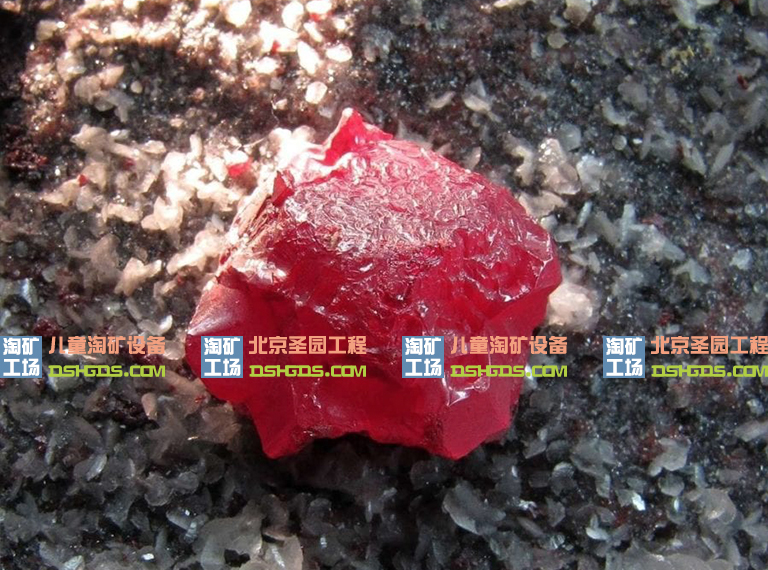 淘礦工場(chǎng)科普