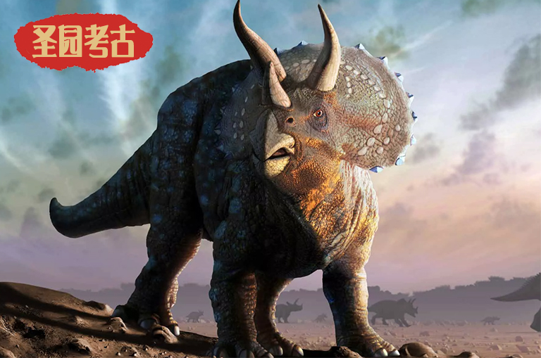 恐龍考古桌