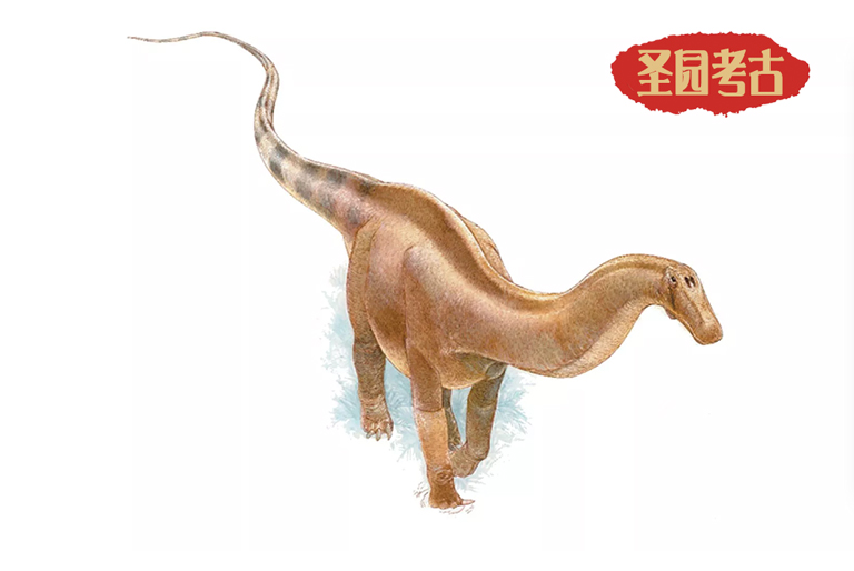 恐龍考古模型