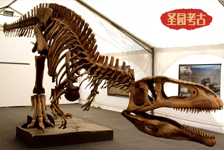 恐龍考古模型