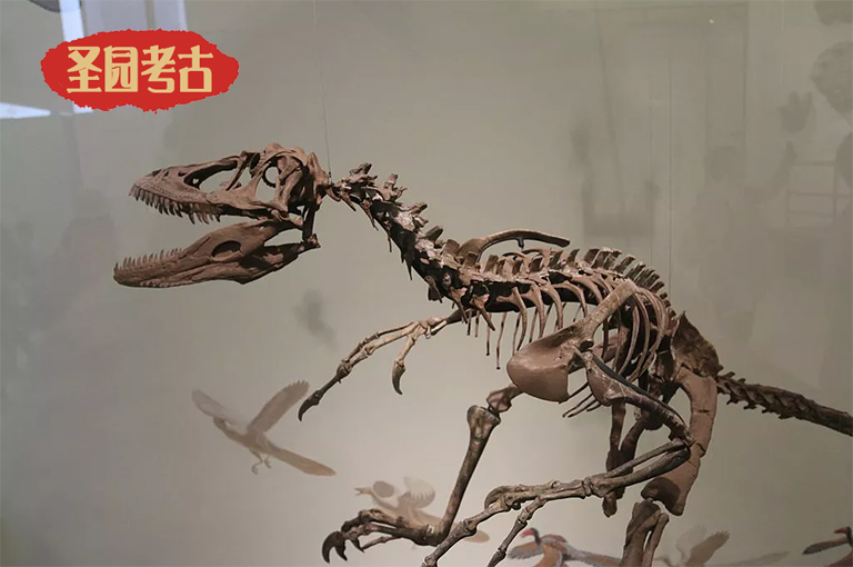 恐龍考古模型