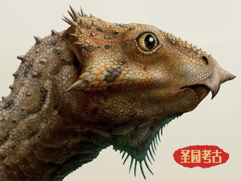 恐龍考古模型