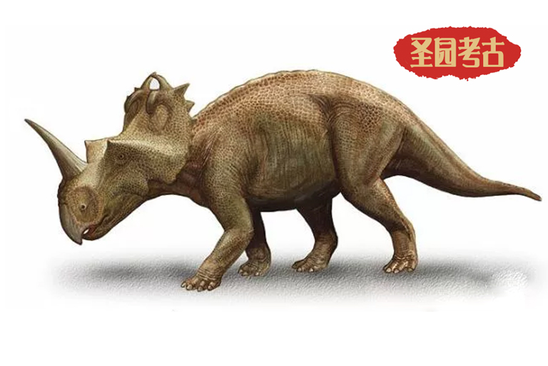 恐龍考古模型