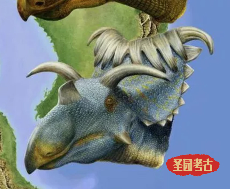 恐龍考古模型