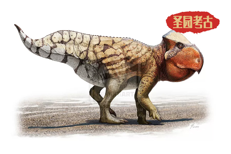 恐龍考古模型