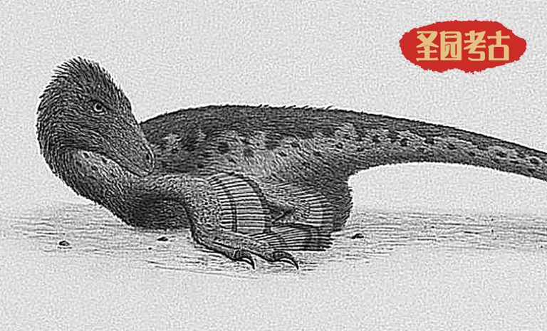 恐龍考古模型