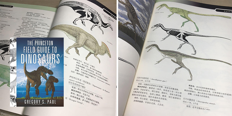 恐龍考古科普.jpg 恐龍考古科普