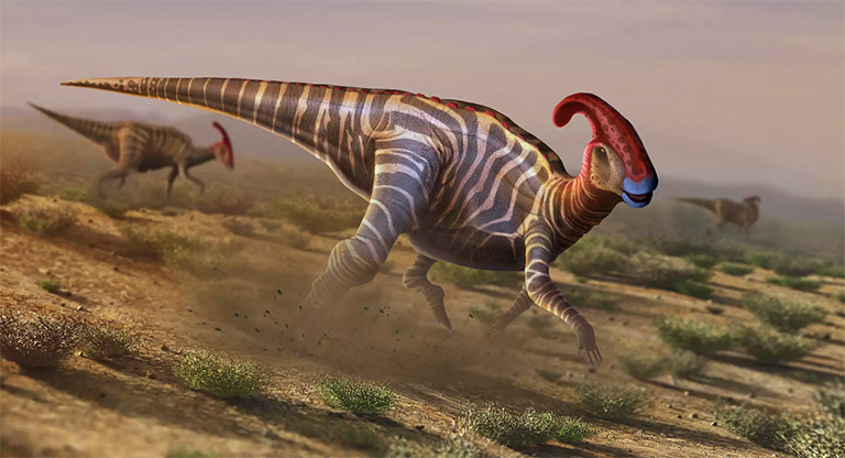 恐龍考古科普