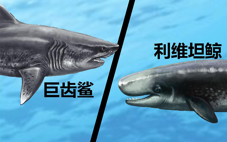 恐龍考古桌.jpg 恐龍考古桌