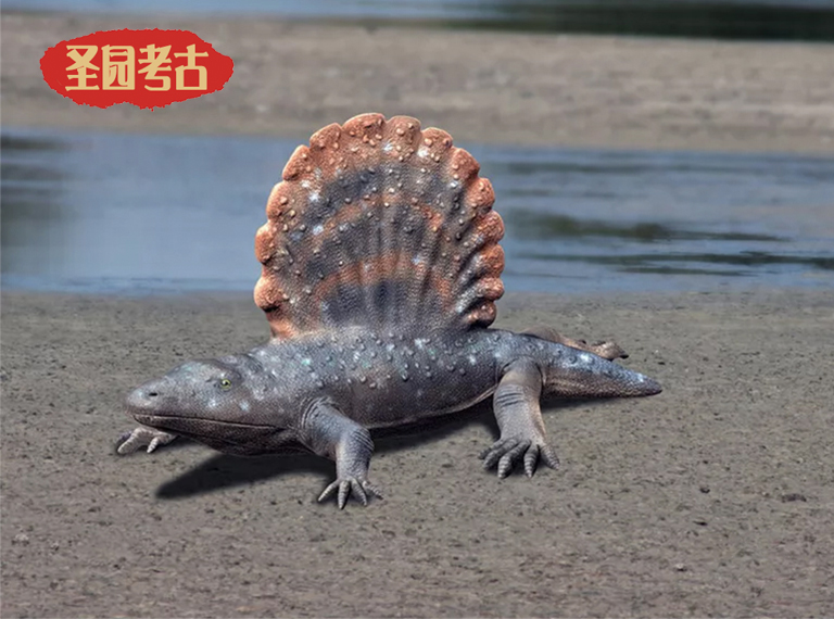 恐龍考古桌