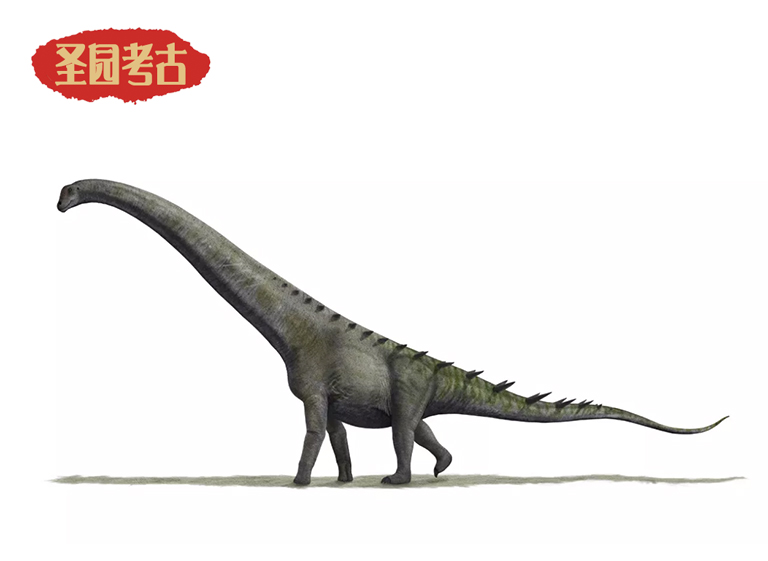 恐龍考古科普.jpg 恐龍考古科普