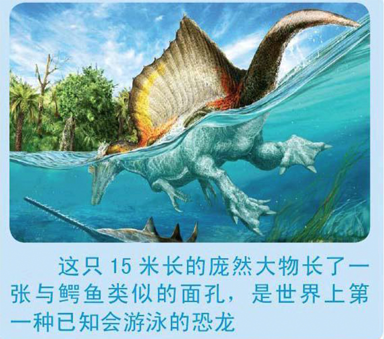 恐龍考古科普