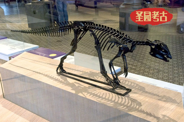 雕塑知識(shí)