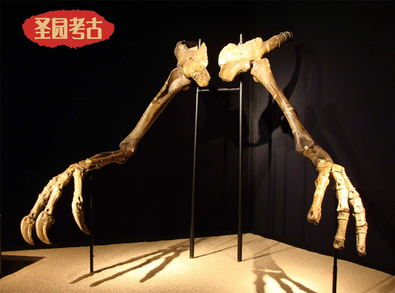 恐龍考古科普