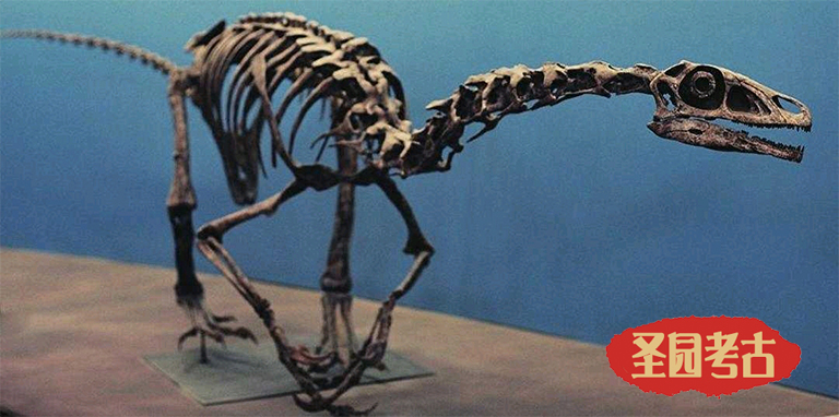 恐龍考古科普