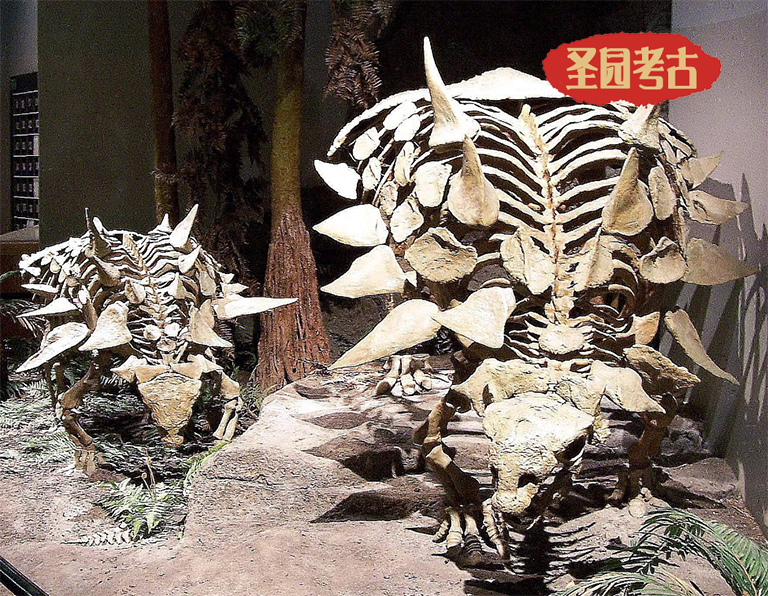 恐龍考古科普